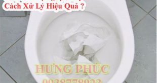 Bồn cầu bị nghẹt giấy do nguyên nhân nào và cách xử lý tại nhà